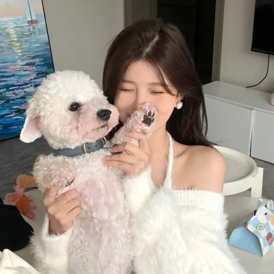 哈莉·奎茵第一季